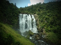 Beautiful NZ waterfall - watch out for the eels :)